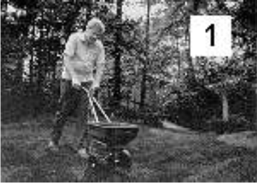 Thumbnail image for Water Quality and Home Lawn Care